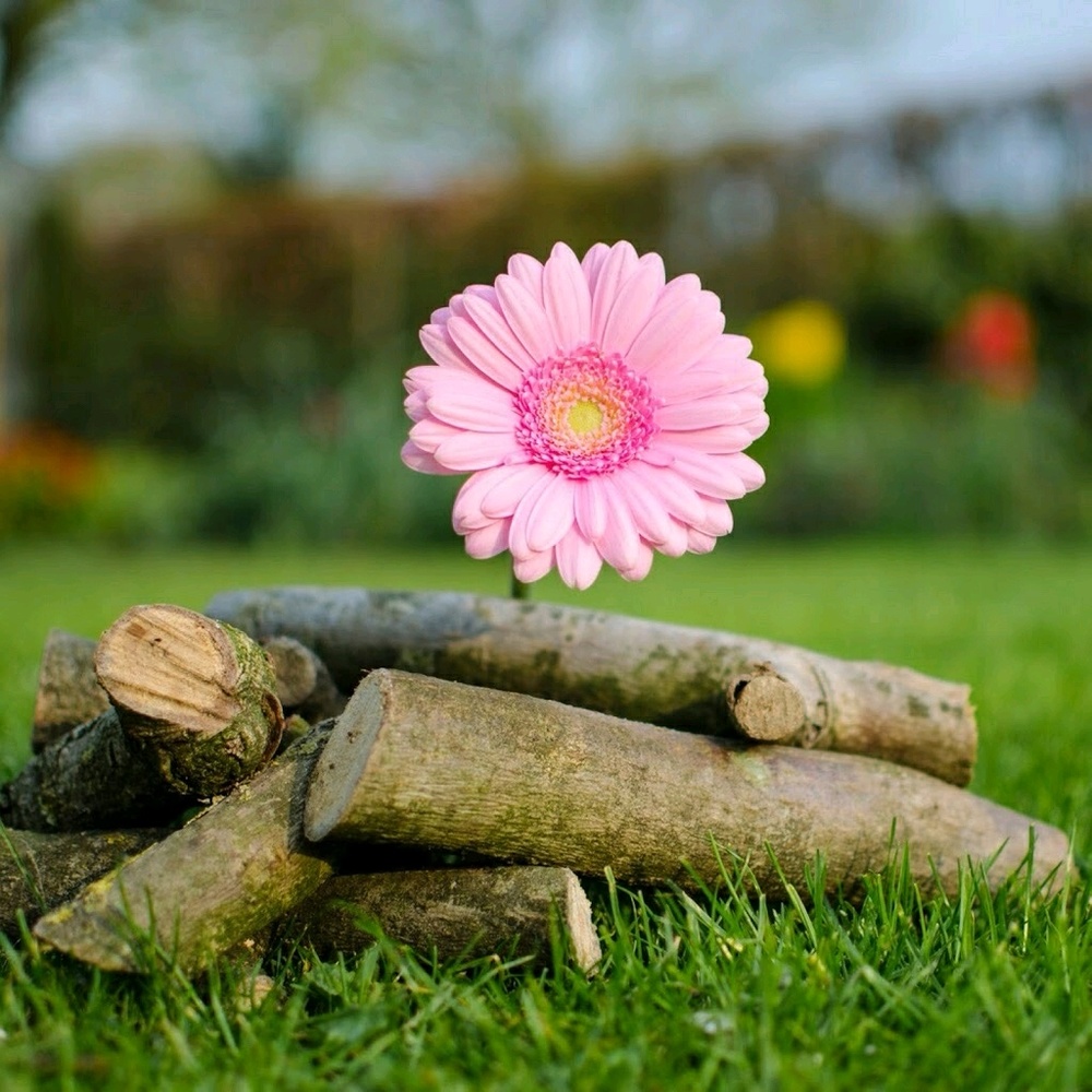 Meet your Posher, Sandra